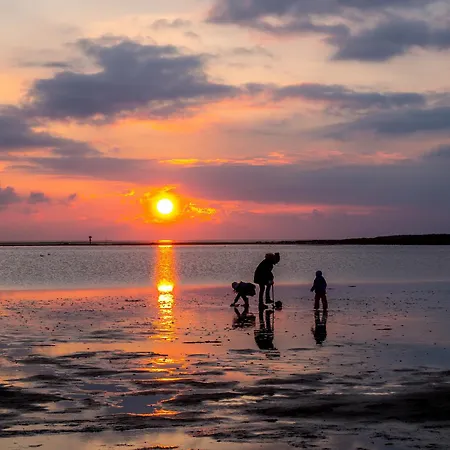 Medemsand 08 Ferienhaus *