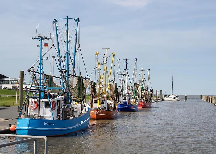 Medemsand 08 بيت للعطل *