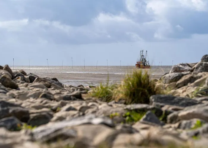 Medemsand 08 بيت للعطل دورم نيوفيلد